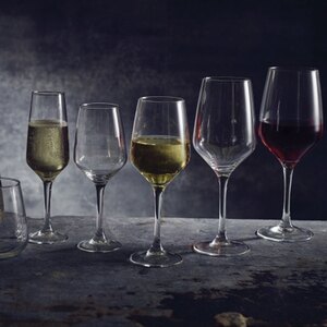FT Mencia Wine Glass 25cl 8.8oz