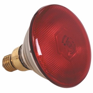 250 Watt Bulb - Red - for use with Pujadas Heat Shade