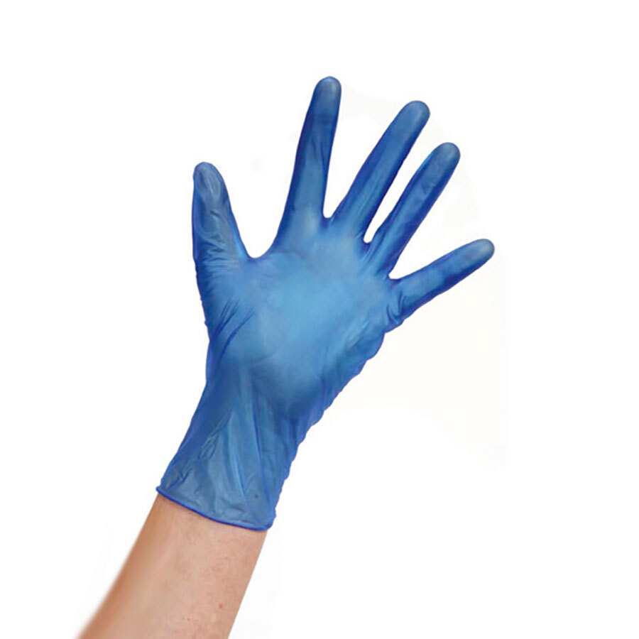 Powder Free Vinyl Gloves Large